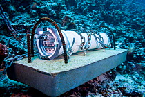 Sound recording device from University of Hawaii anchored on reef off Hawaii.