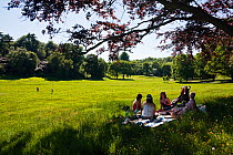 People picnicing in meadow, Ashton Court, Bristol, England, UK. May 2010. Editorial use only.