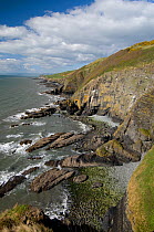 Coastline at Penderi Cliffs nature reserve, Ceredigion, West Wales, UK