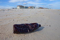 A plastic bottle covered in oil on a beach. This beach was repeatedly contaminated with oil by the BP Deepwater Horizon spill. Baldwin County, Alabama, USA June 2010.