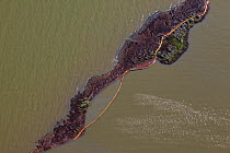 Aerial view of an oil covered island and displaced oil containment boom in Barataria Bay area of the Mississippi River delta, contaminated as a result of the BP Deepwater Horizon oil spill in the Gulf...