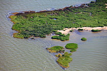 Aerial view of oiled bird nesting colonies in Barataria Bay area of the Mississippi River delta, contaminated by oil from the BP Deepwater Horizon leak in the Gulf of Mexico. Plaquemines Parish, Louis...