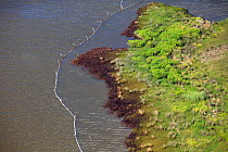 Aerial view of oiled and containment boomed salt marsh in the Baratari Bay area of the Mississippi River delta, contaminated as a result of the BP Deepwater Horizon leak. Plaquemines Parish, Louisiana...