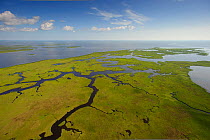 Aerial view of salt marsh in the Baratari Bay area of the Mississippi River delta. Plaquemines Parish, Louisiana. July 2010.