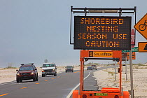A sign along the road alerting motorists to a Least Tern (Sternula antillarum) and Black Skimmer (Rynchops niger) nesting colony adjacent to the road. Gulf Islands National Seashore, which was affecte...