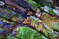 Cooked Fish roasted in leaves, for sale at the Market of Belen. Iquitos. Loreto. Peru October 2009
