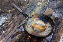 Piranha (Serrasalmus sp.) being fried in a pan,  over an open fire. Pacaya Samiria National Reserve. Amazon Basin. Loreto. Peru October 2009