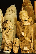 Mummies of the Laguna de los Cóndores, dating back to the period of Chachapoyas culture. Leymebamba Museum. Amazonas Department. Peru October 2009