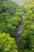 River flowing through tropical cloud forest. Bosque de Protección Alto Mayo, Amazonas Department, Peru November 2009