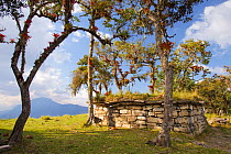 Ruins of the stone fortress of Kuélap, from the period of Chachapoyas culture. Amazonas Department, Peru, November 2009