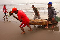 Fishermen of Totora pulling their reed canoe ashore, Pimentel beach. Chiclayo. Peru November 2009