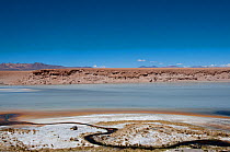 Salar de Chalviri salt pan, Bolivian Altiplano, Bolivia. February 2009.