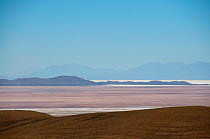 Salar de Uyuni, the worlds biggest salt pan, from hills above, Bolivian Altiplano, Bolivia. February 2009.