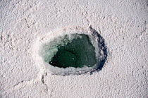 Hole in the salt pan of Salar de Uyuni,  the worlds biggest salt pan, Bolivian Altiplano, Bolivia. February 2009.