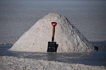 Mounds of salt, mined from the salt pans of Salar Uyuni, the worlds biggest salt pan, Bolivan Altiplano, Bolivia. February 2009.