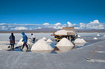 Workers mining salt from Salar Uyuni, the worlds biggest salt pan. Bolivan Altiplano, Bolivia. February 2009.