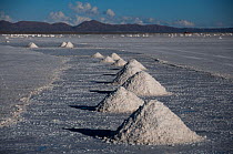 Mounds of salt, mined from the salt pans of Salar Uyun,i the worlds biggest salt pan, Bolivan Altiplano, Bolivia. February 2009.