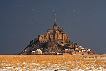 The Bay and Mont Saint Michel in snow, Normandy, France, January 2010.