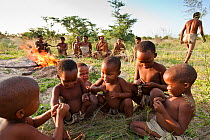 Kalahari bushmen, family group eating Springhare cooked on the fire in the bush, rainy season, the children eat separately, the adults give them the intestines in order to boost their immune systems a...