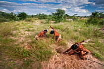 Kalahari bushmen, family group hunting Springhares in their burrows in the bush, Central Kalahari Desert, Botswana, March 2009