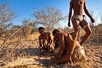 Kalahari bushmen, men looking for food in the bush during the dry season, setting a trap for small animals, Central Kalahari Desert, Botswana, August 2008