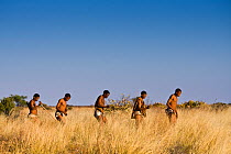 Kalahari bushmen, Qhaikgao and Xaiga and other huntsmen looking for food in the bush during the dry season, Central Kalahari Desert, Botswana, August 2008