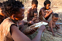 Kalahari bushmen, women preparing food from roots in the bush, dry season, Central Kalahari Desert, Botswana, August 2008