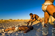 Kalahari bushmen, men performing Dance of the Hunt, hunters dancing simulate a hunt, when the hunter kills his prey and cuts the skin.  Central Kalahari Desert, Botswana, August 2008,
