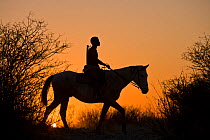 Kalahari bushman, silhouettte of man riding a horse, hunting at sunset, Central Kalahari Desert. Botswana, August 2008