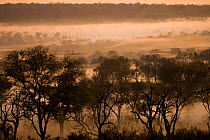 Sabi Sand Private Game Reserve, Kruger Park area, South Africa, June 2008