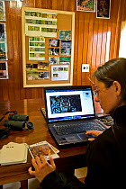 Edilene Goncalves Nobre carrying out photographic identification research on the Jaguar at the Jaguar Research Center, Pantanal, Brazil, September 2008
