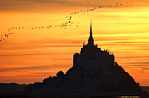 Silhouette of Mont Saint Michel at sunset with birds flying over, Normandy, France, October 2007