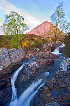 Buchaille Etive Mor and River Etive, Glen Coe, Wester Ross. Scotland, May 2009