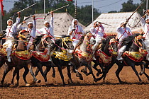 Traditionally dressed Berber warriors, mounted on Barb and Arab Barb horses, gallop in formation raising their guns during the Fantasia in Dar Es Salam, Morocco, June 2010