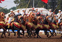 Traditionally dressed Berber warriors, mounted on Barb and Arab Barb horses, gallop in formation ready to fight during the Fantasia in Dar Es Salam, Morocco, June 2010