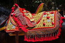 A highly decorated Berber saddle used during the Fantasia, in Dar Es Salam, Morocco, June 2010