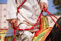 Close-up of the reins and saddle of a Berber warrior during the Fantasia, in Dar Es Salam, Morocco, June 2010