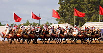 Traditionally dressed Berber warriors, mounted on Barb and Arab Barb horses, galloping in formation with guns raised during the Fantasia in Dar Es Salam, Morocco, June 2010