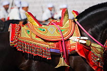 A highly decorated Berber saddle used during the Fantasia, in Dar Es Salam, Morocco. June 2010