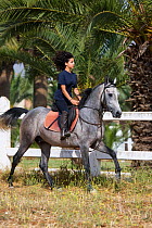 A young woman rides a grey pure bred Arab stallion in Morocco, June 2010