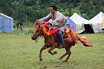 A Khampa warrior races on his Tibetan stallion during the horse festival, near Huangyan, in the Garze Tibetan Autonomous Prefecture in the Sichuan Province, China, June 2010