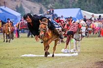 Two Khampa warriors, mounted on their running Tibetan horse, try to catch white scarves, during the horse festival, near Huangyan, in the Garze Tibetan Autonomous Prefecture in the Sichuan Province, C...