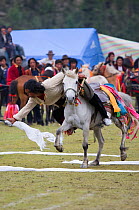 A Khampa warrior, mounted on his running Tibetan horse, tries to catch white scarves laid out on the ground, during the horse festival, near Huangyan, in the Garze Tibetan Autonomous Prefecture in the...