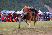 A Khampa warrior, mounted on his running Tibetan horse, tries to catch sweets laid out on the ground, during the horse festival, near Huangyan, in the Garze Tibetan Autonomous Prefecture in the Sichua...