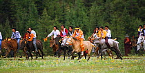 Khampa warriors gallop during the endurance race on their Tibetan horses during the horse festival, near Huangyan, in the Garze Tibetan Autonomous Prefecture in the Sichuan Province, China, June 2010