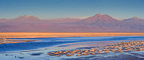 Atacama Desert with mountains on horizon and heavily salted waters of laguna in foreground, Chile, April 2009