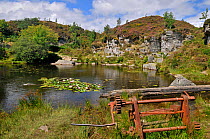 Disused Granite Quarry, filled with water and naturalised. Haytor, Dartmoor, England, UK, August 2010