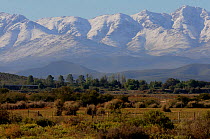 Winter landscape, with snow capped mountains, and fenced farmland in the foreground, Swartberg Mts. Little Karoo, South Africa, July 2010
