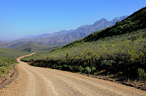 Road running through a rural landscape, in the foothills Swartberg Mountains. Little Karoo, South Africa, July 2010