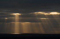 Shafts of evening light over coastline, viewed from the Shetland Islands, Scotland, UK, August 2007 (non-ex)